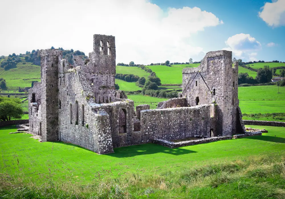 Explore Fore Columbarium- A Feathered Heaven